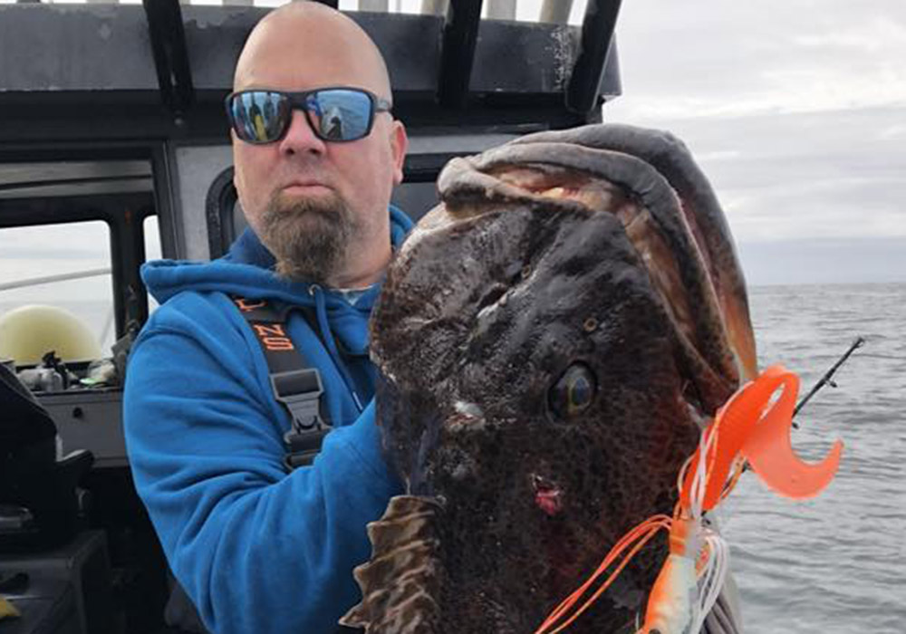 lingcod